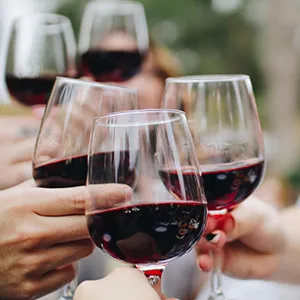 Homebrewing & Winemaking